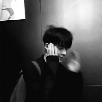 Furry插画氛围灵感福瑞群